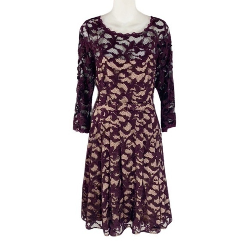Eliza J purple nude lace sheer belted fit flare dress EE19